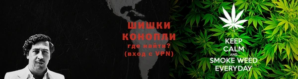 трава Арсеньев