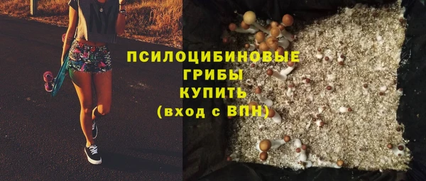 трава Арсеньев